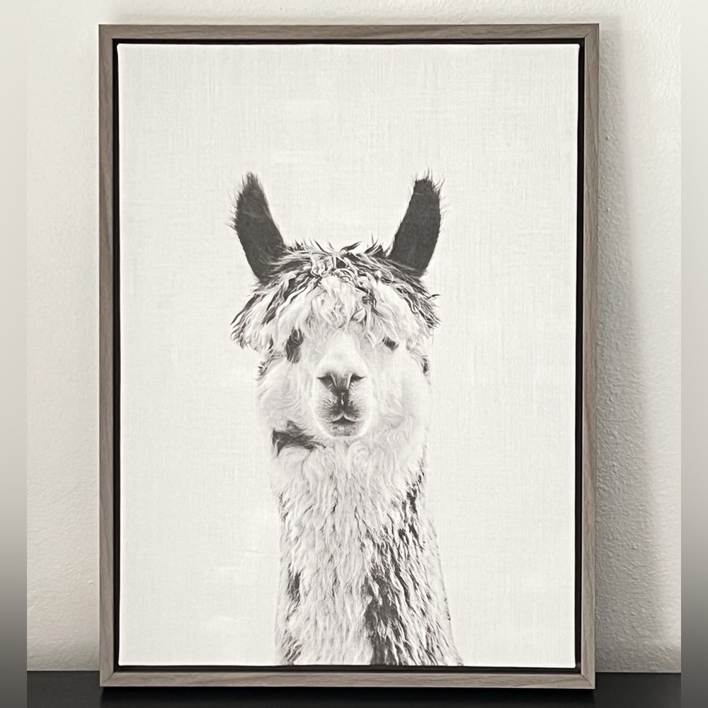 Sylvie Llama Black and White Portrait Framed Canvas Wall Art by Simon Te Tai